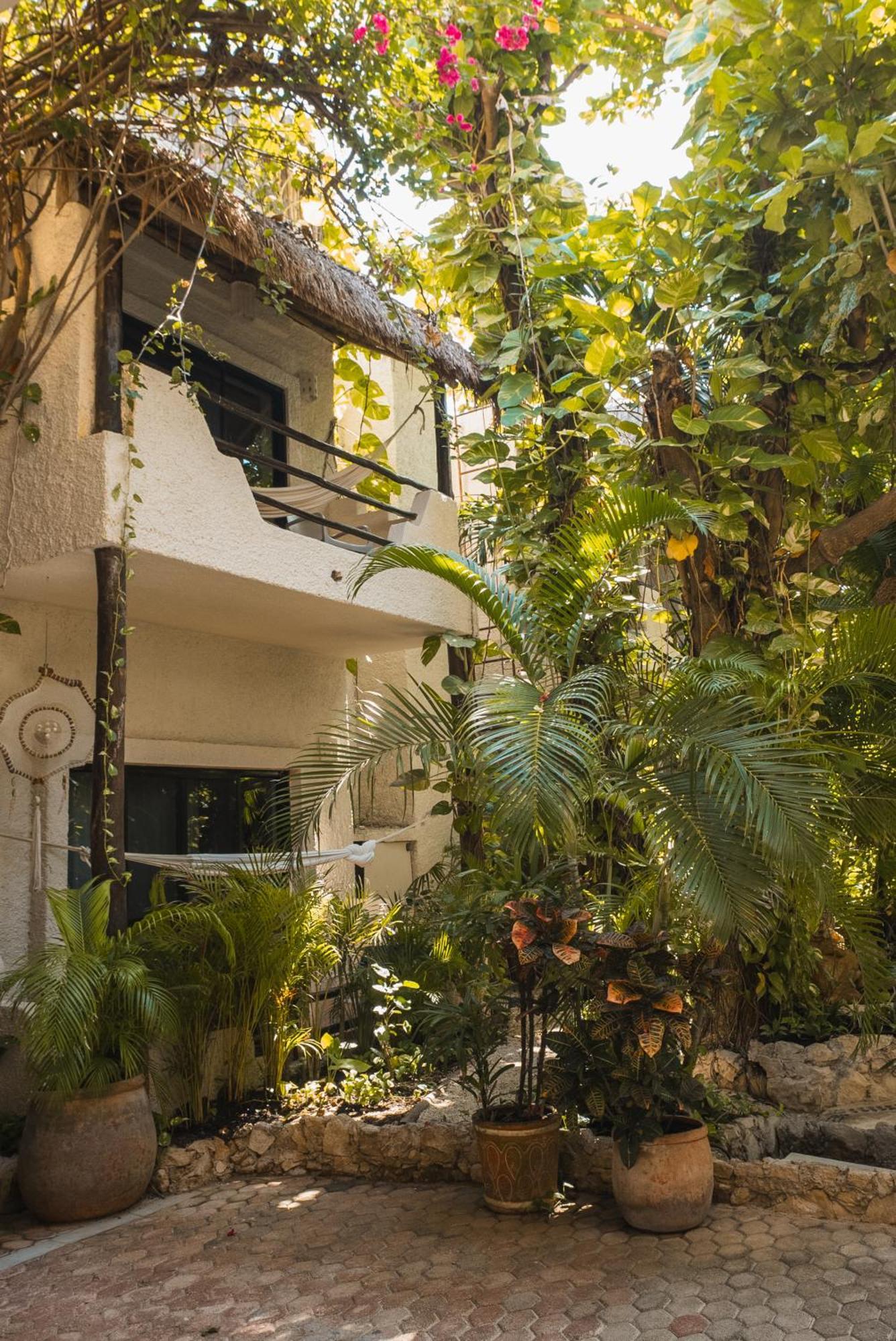 Casa Colibri 4*
