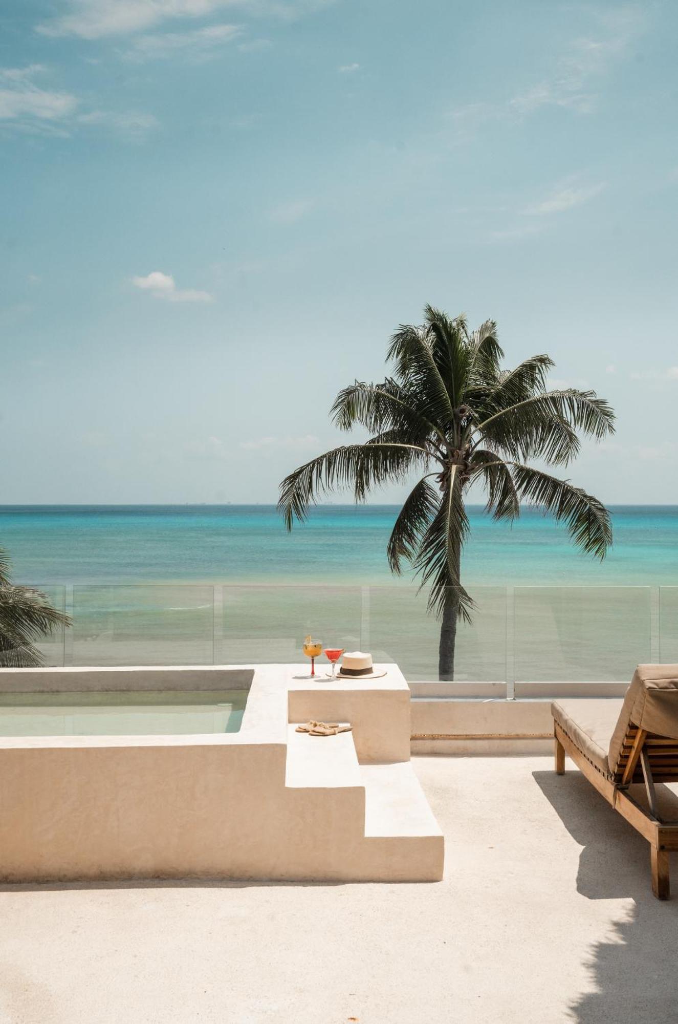 Colibri Playa del Carmen