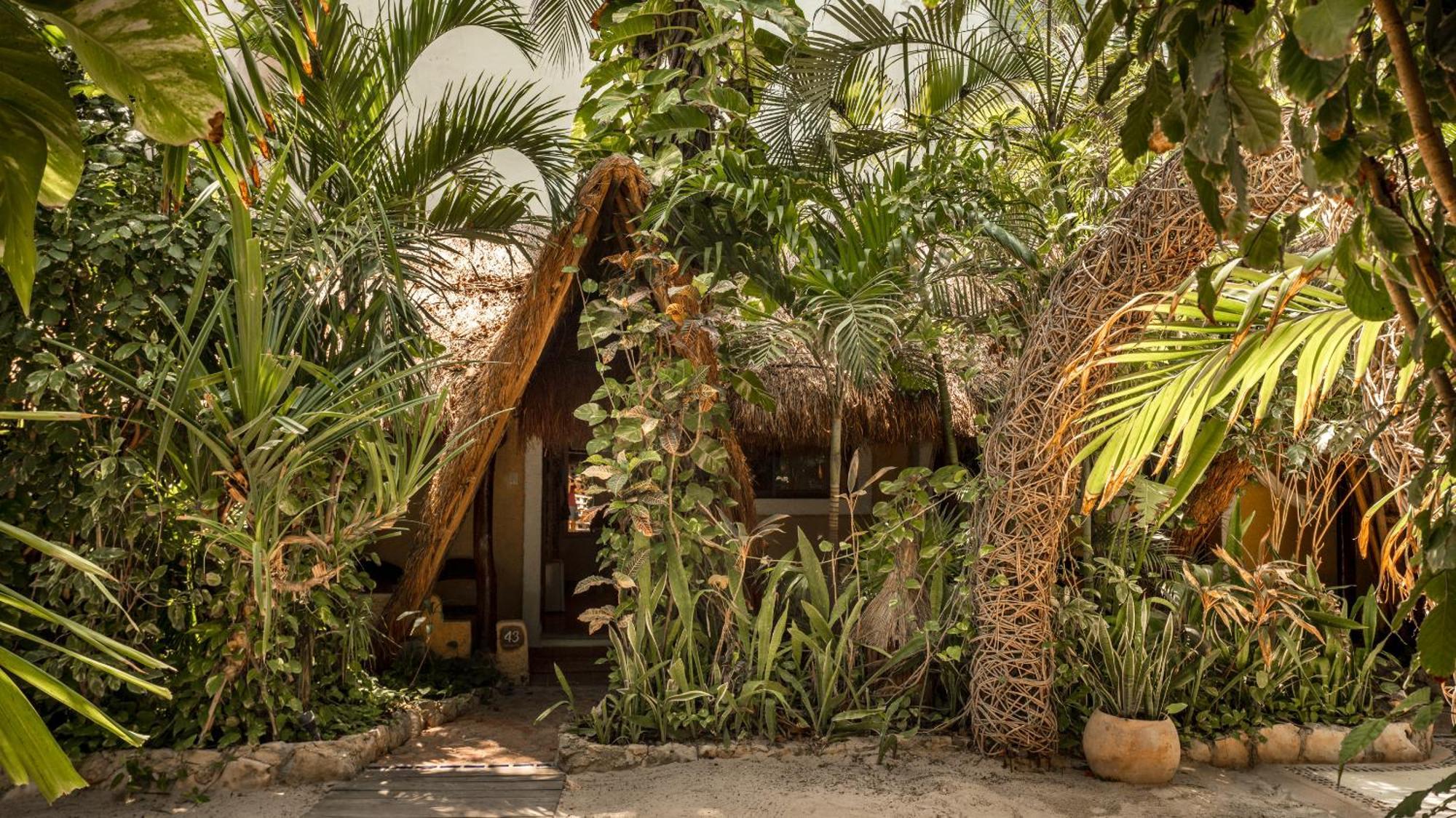 Hotel Colibri